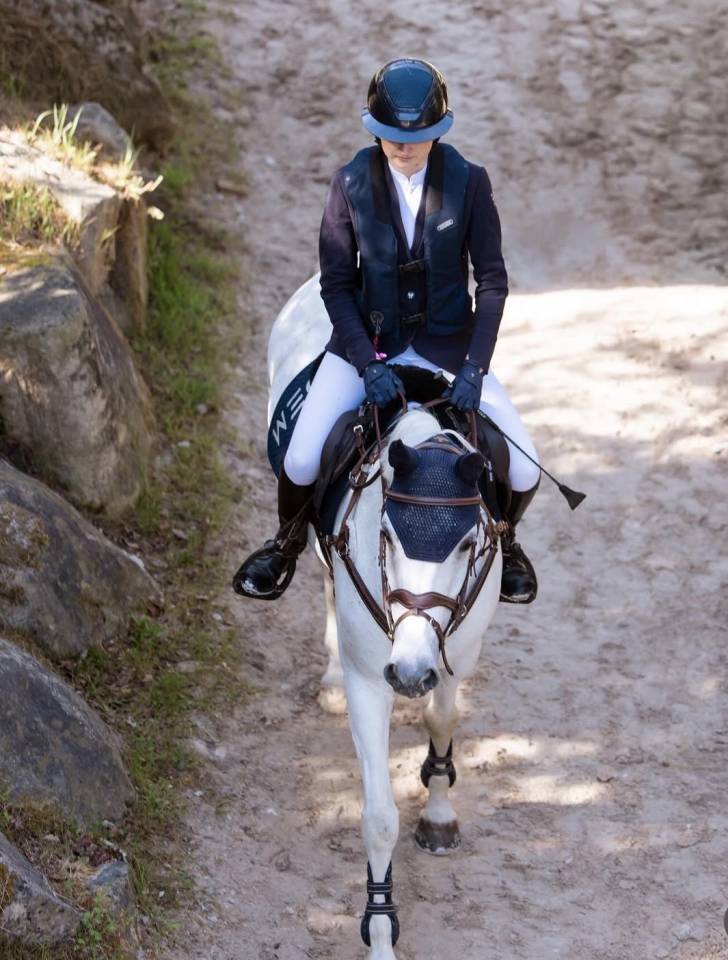 Merrie Franse rijpony PFS Te koop 2014 Schimmel ,  VITO DE BLONDE