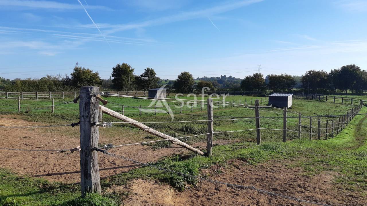 Hippisch vastgoed Koop Mayenne