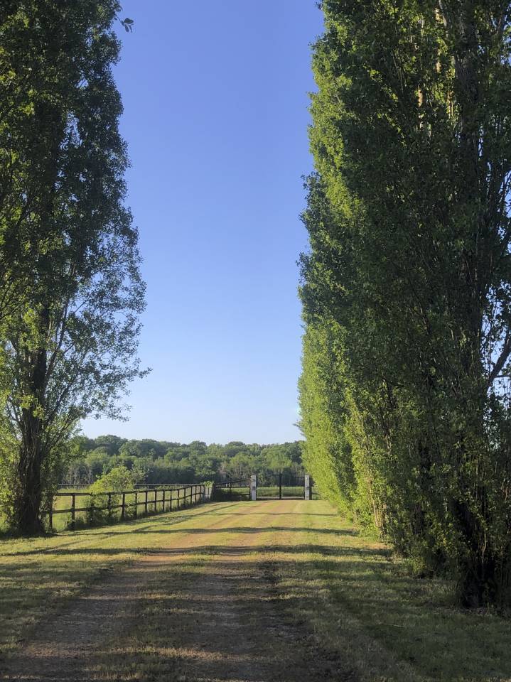 Mooi hippisch vastgoed Koop Sa&ocirc;ne-et-Loire
