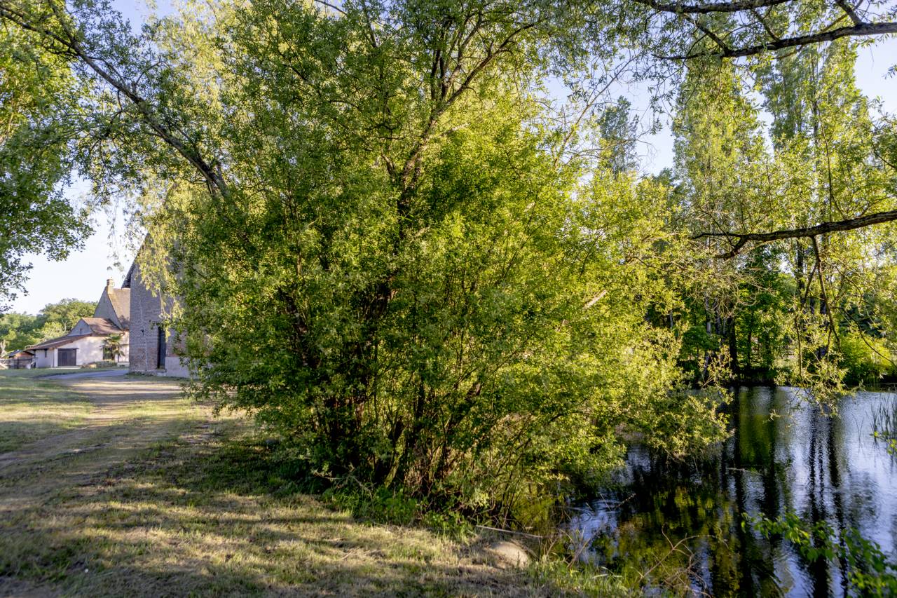 Mooi hippisch vastgoed Koop Sa&ocirc;ne-et-Loire