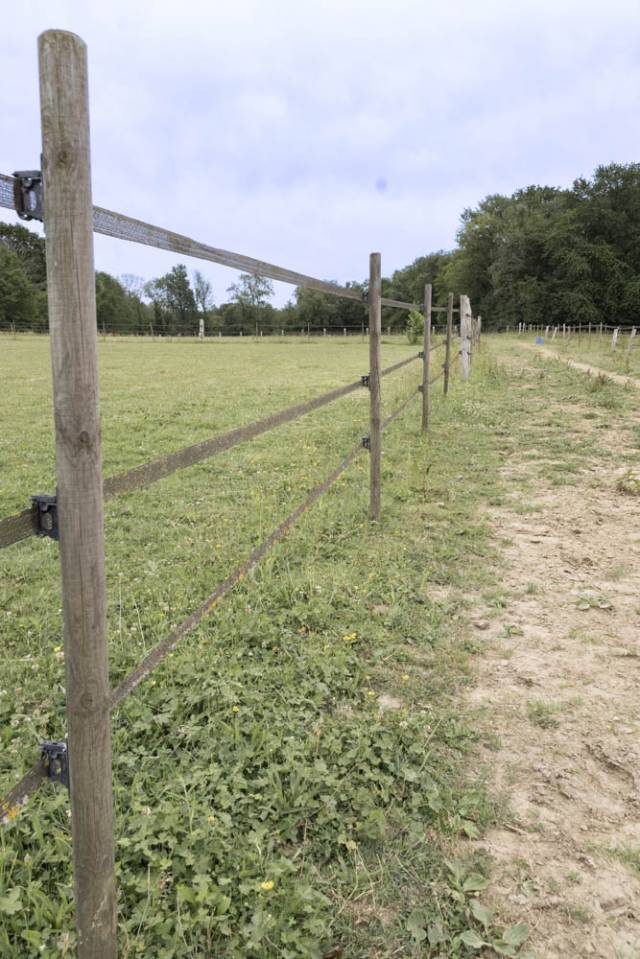 Hippisch vastgoed Koop Seine-et-Marne