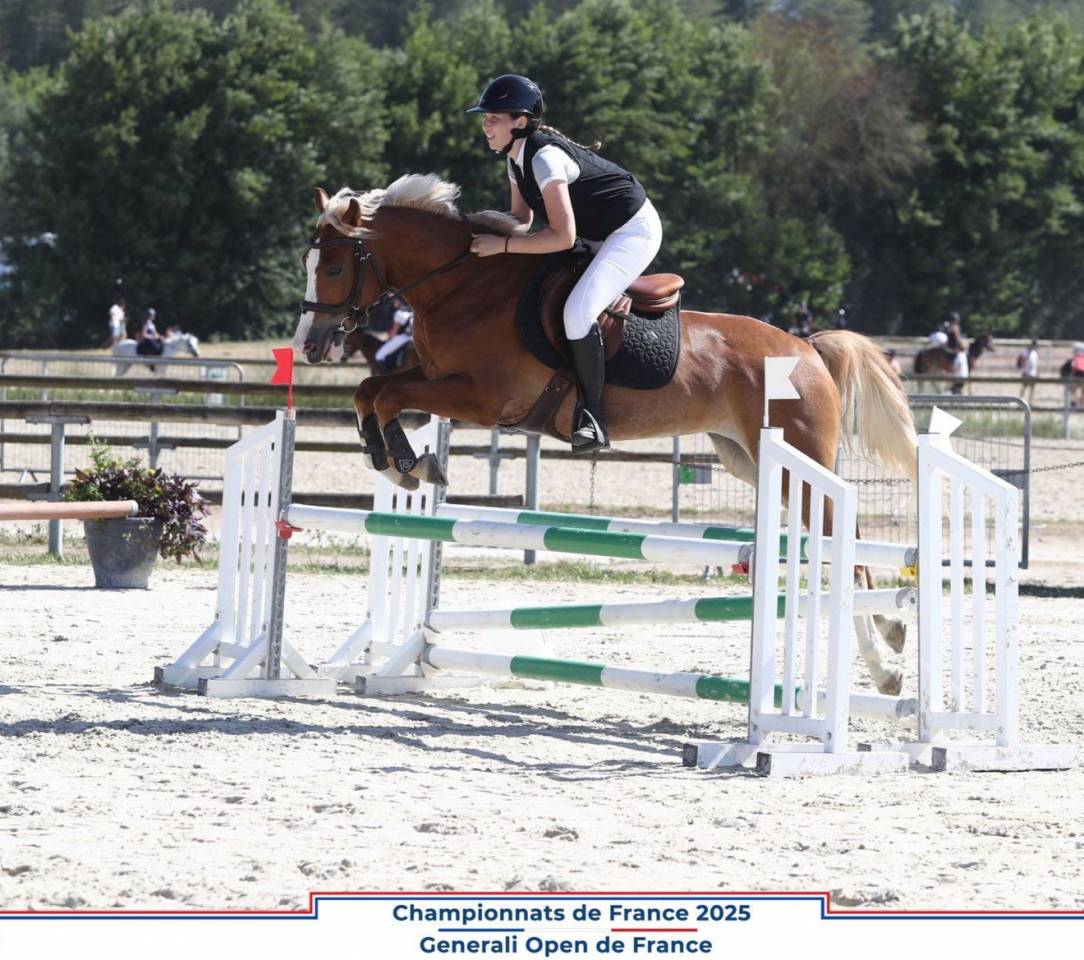 Ruin Franse rijpony PFS Te koop 2020 Lichte manen en staart