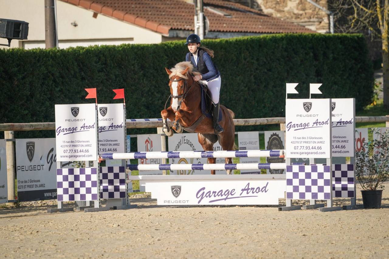 Ruin Franse rijpony PFS Te koop 2020 Lichte manen en staart