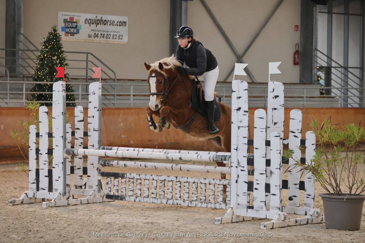 Ruin Franse rijpony PFS Te koop 2020 Lichte manen en staart