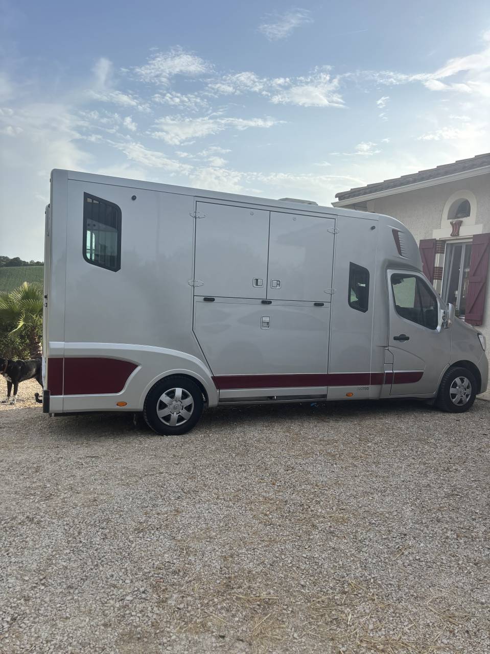 Kleine paardenvrachtwagen (B rijbewijs) Theault Renault nv Master Pl cab. Grd Confort L3H1 Energy  2021 Tweedehands