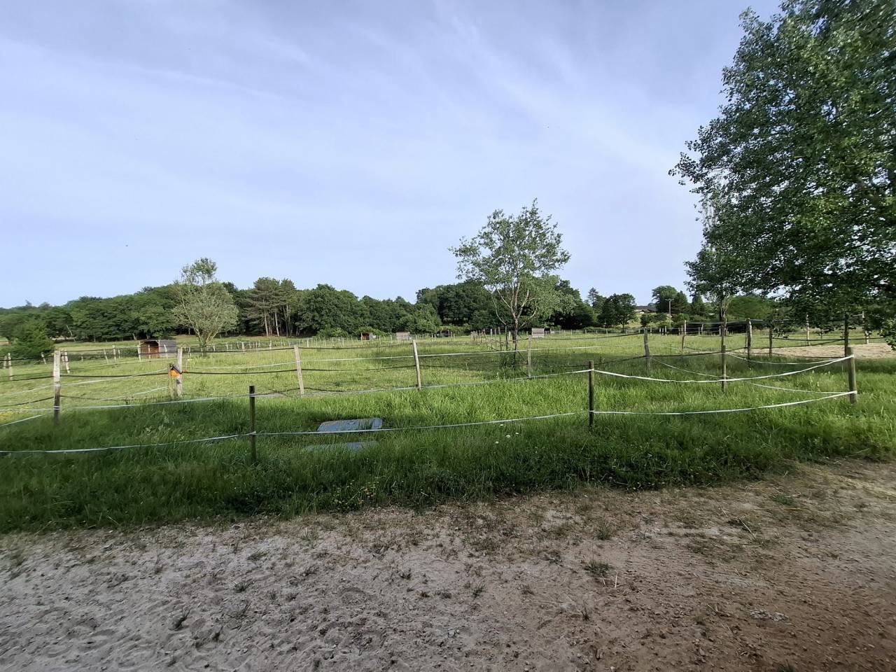 Paarden accommodatie Koop Indre-et-Loire