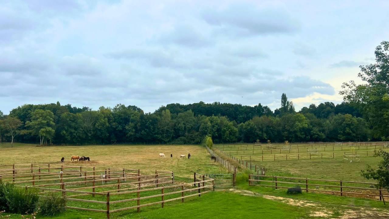 Hippisch vastgoed Koop Lot-et-Garonne