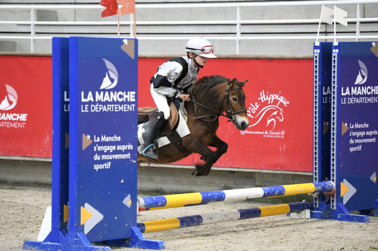 Merrie Shetland Te koop 2020 Donker bruin / bai