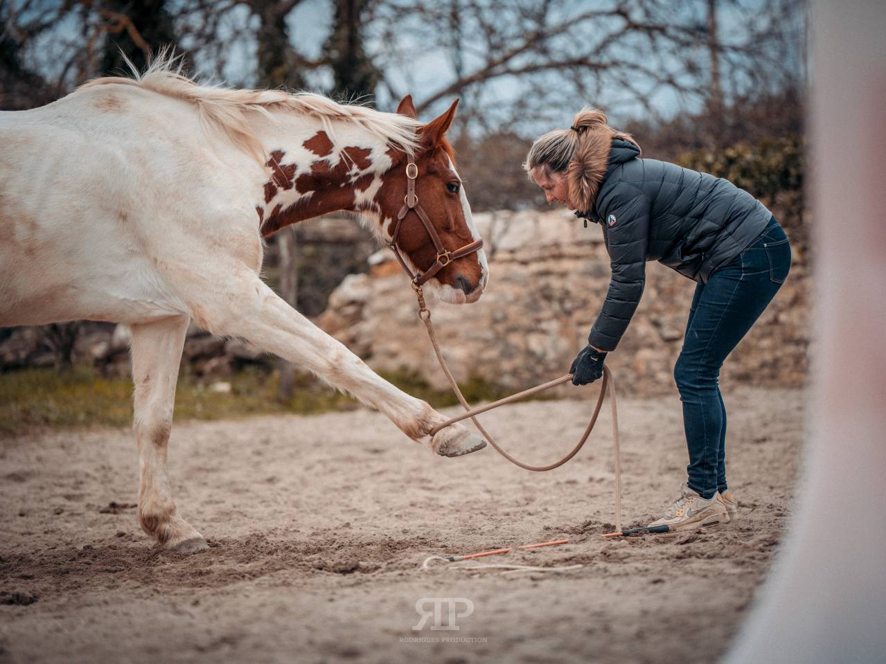 Merrie Selle Fran&ccedil;ais Te koop 2018 Bont