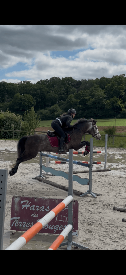 Ruin Connemara Te koop 2022 Schimmel ,  MEELICKS SMOKEY