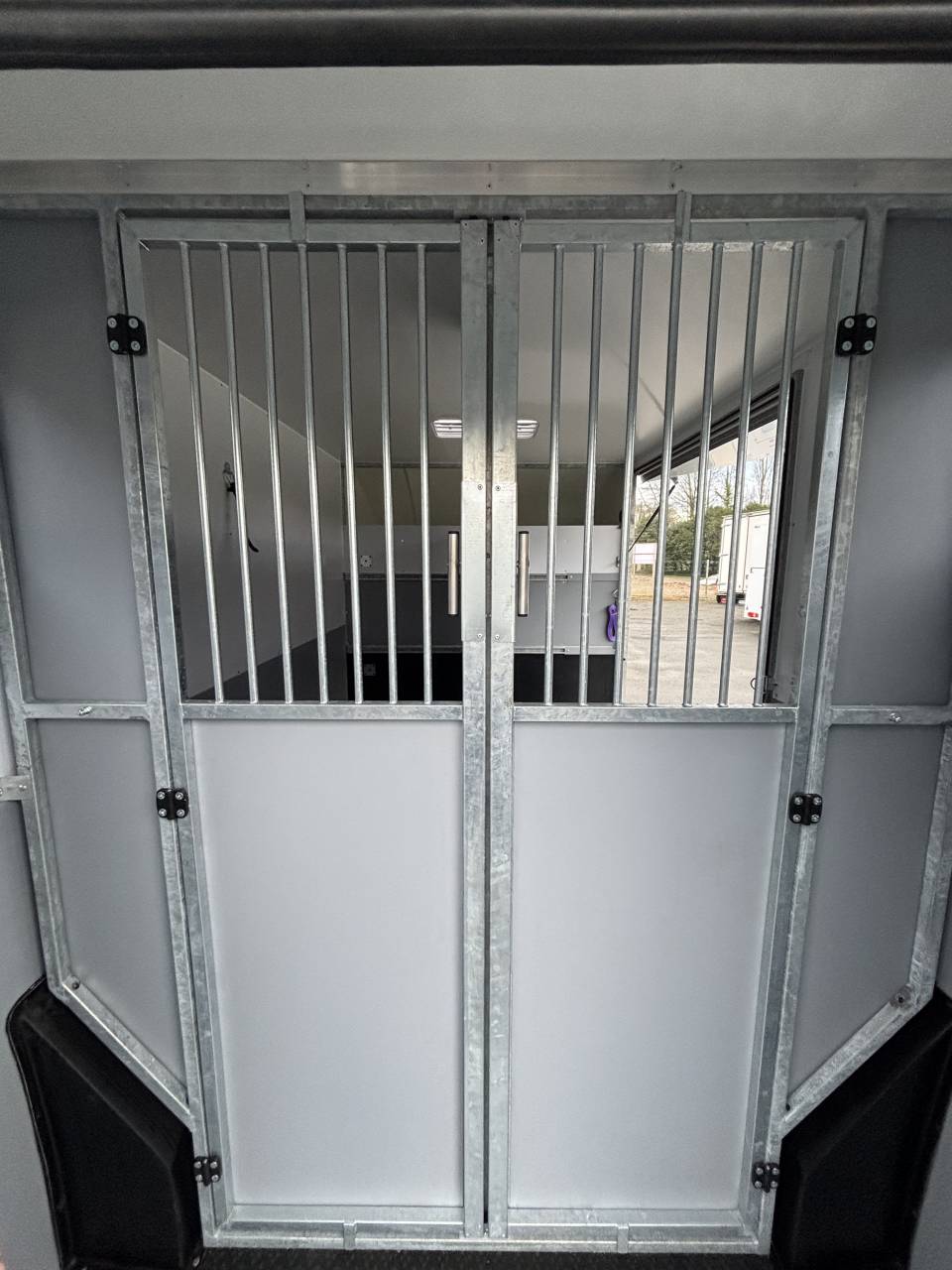 Kleine paardenvrachtwagen (B rijbewijs) AP Petit Interstar L2  2026 Nieuw