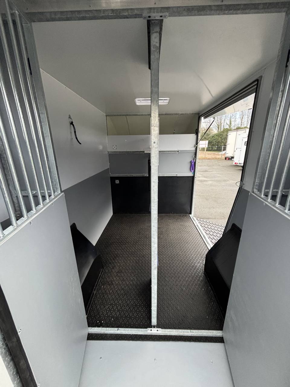 Kleine paardenvrachtwagen (B rijbewijs) AP Petit Interstar L2  2026 Nieuw