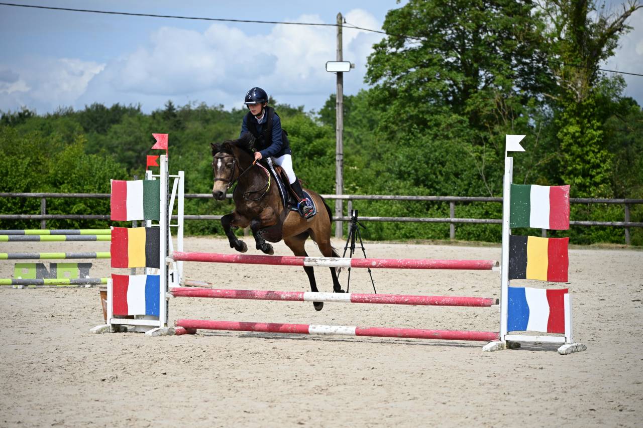 Ruin Franse rijpony PFS Te koop 2013 Isabel ,  VIERSEN K