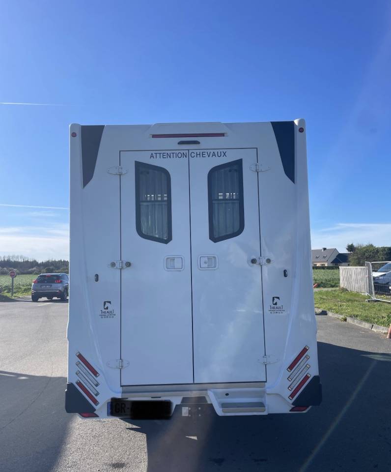 Kleine paardenvrachtwagen (B rijbewijs) Renault master proteo switch stalles 2023 Tweedehands