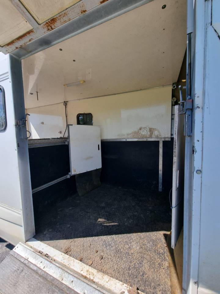 Kleine paardenvrachtwagen (B rijbewijs) Renault Renault Master 2 1985 Tweedehands
