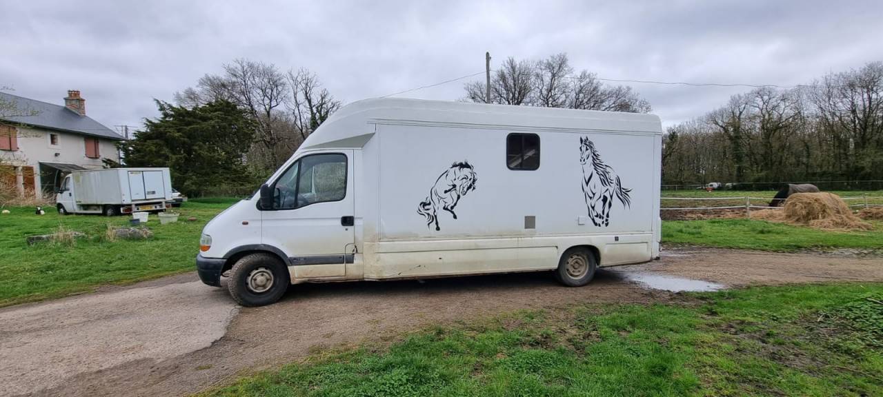 Kleine paardenvrachtwagen (B rijbewijs) Renault Renault Master 2 1985 Tweedehands