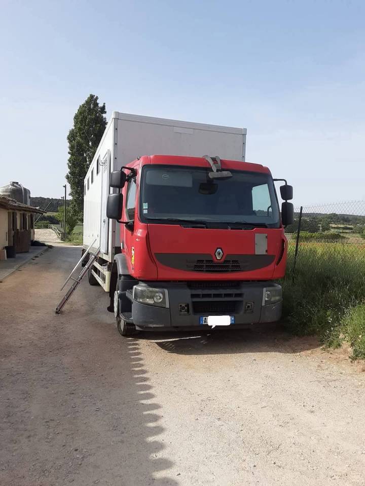 Zware paardenvrachtwagen (groot rijbewijs) Renault Premium  2010 Tweedehands