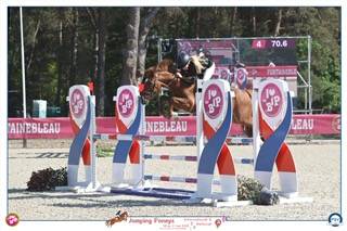 Ruin Franse rijpony PFS Te koop 2019 Vos ,  Mon Nantano de florys