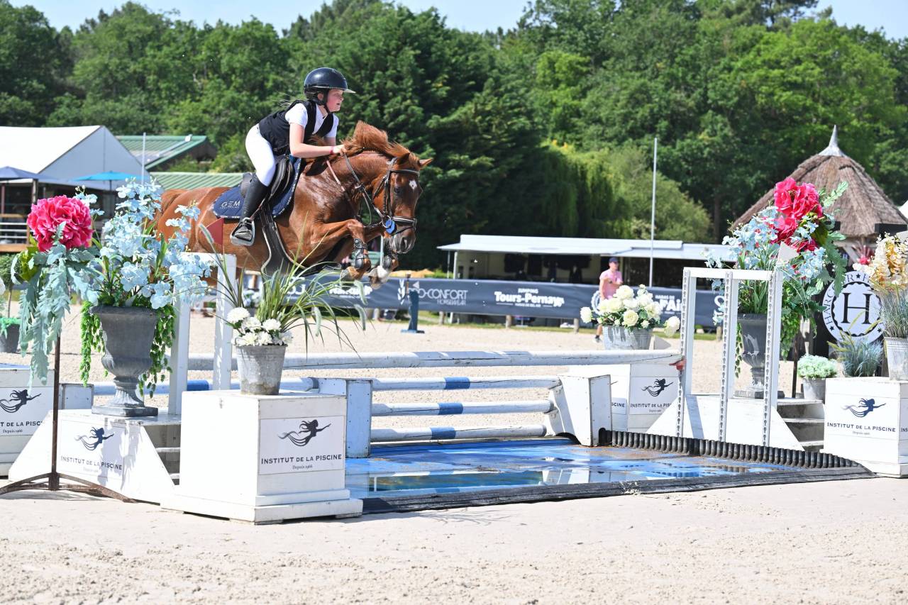 Ruin Franse rijpony PFS Te koop 2019 Vos ,  Mon Nantano de florys