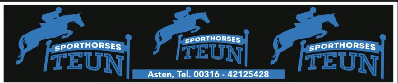 Cheval pie bai 4 ans BWP hongre 
