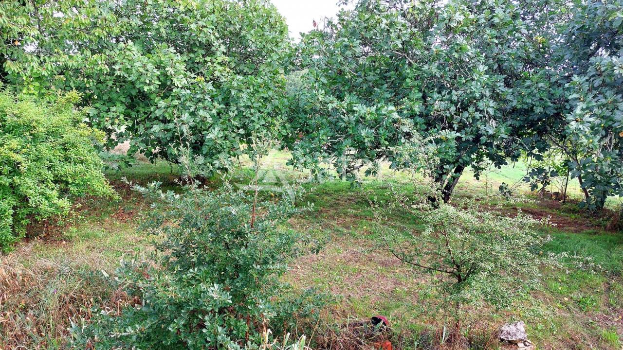 Hippisch vastgoed Koop Dordogne