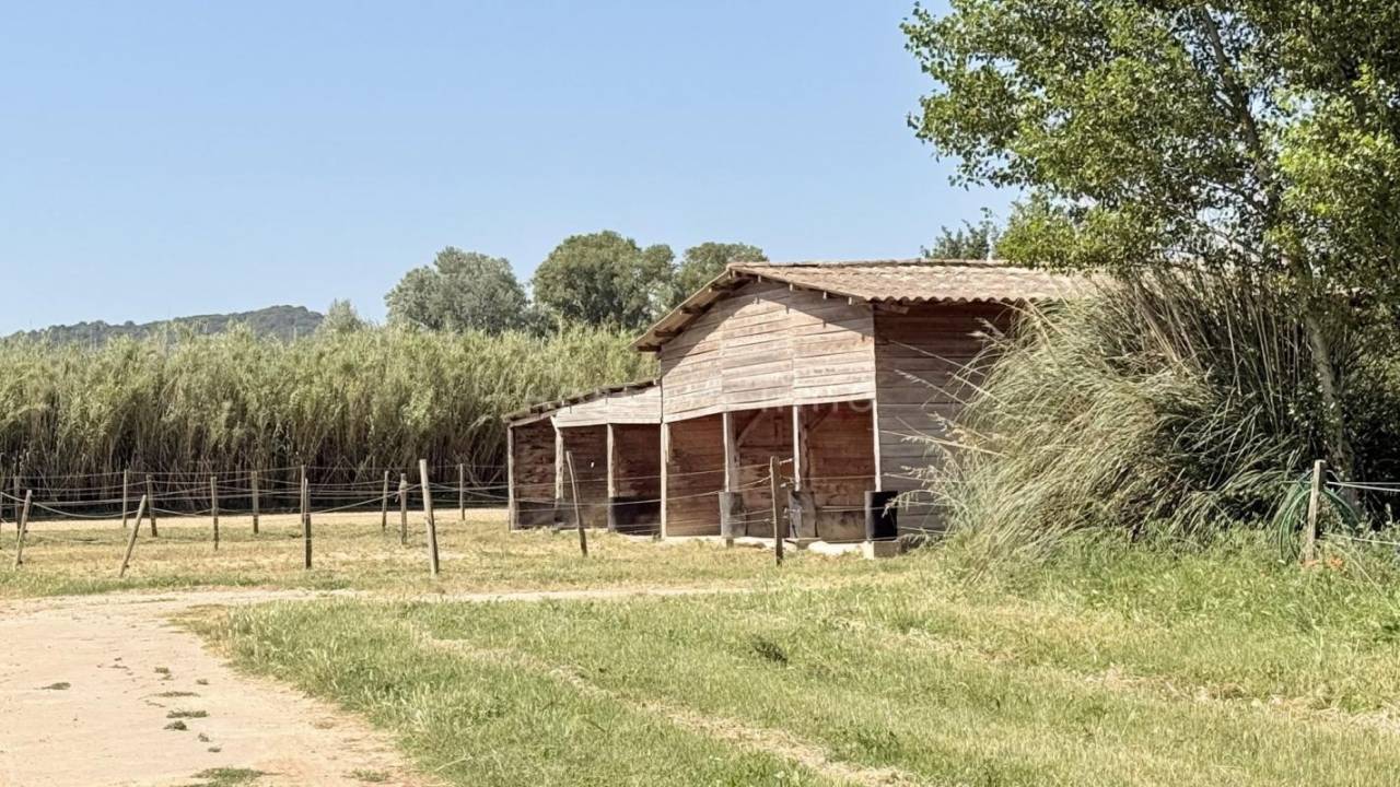 Hippisch vastgoed Koop Vaucluse