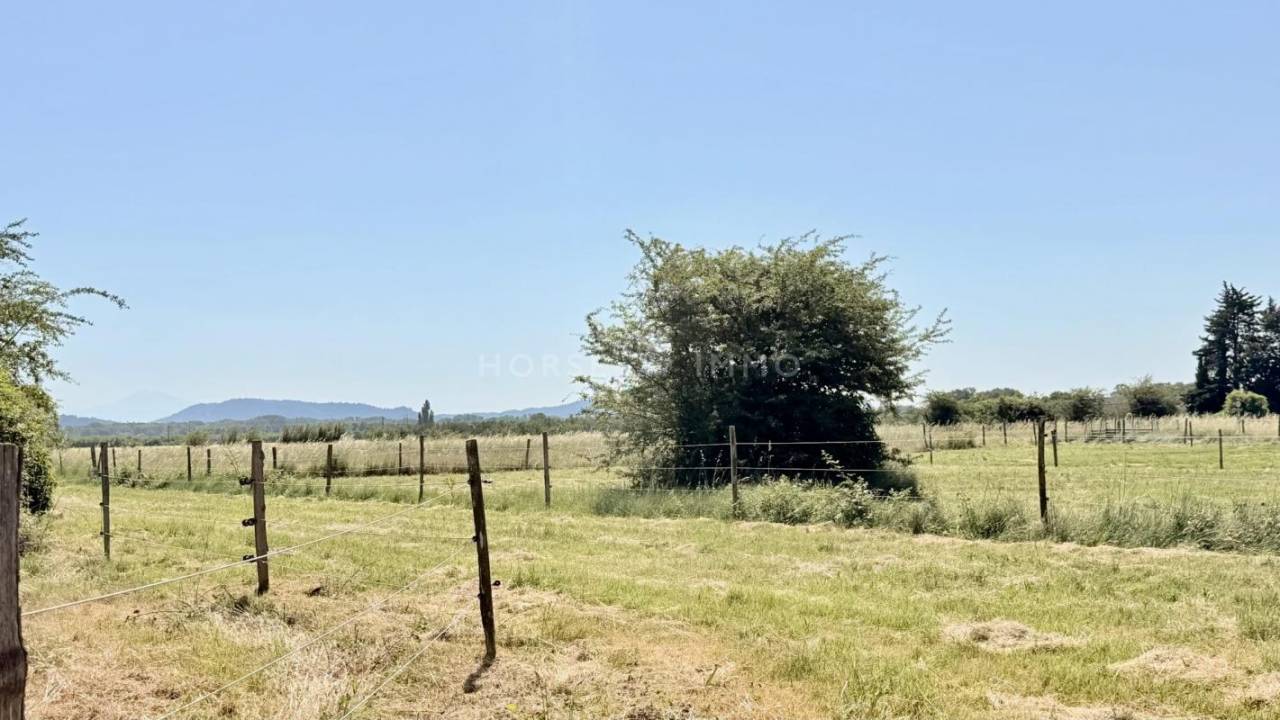 Hippisch vastgoed Koop Vaucluse