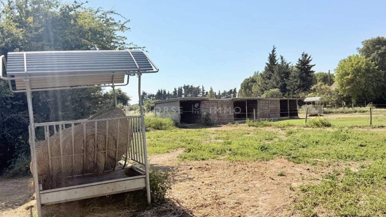 Hippisch vastgoed Koop Vaucluse