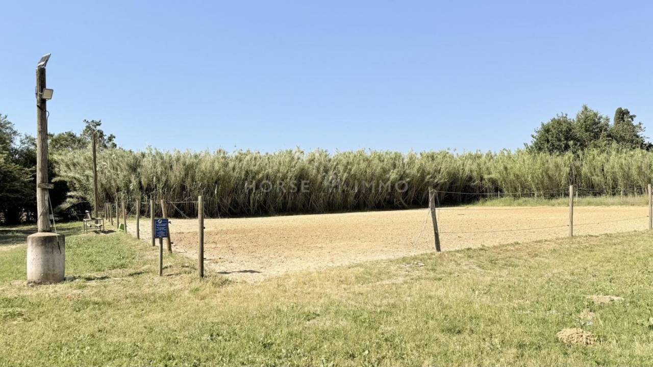 Hippisch vastgoed Koop Vaucluse