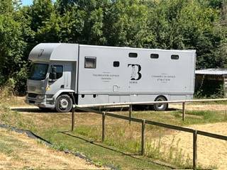 Zware paardenvrachtwagen (groot rijbewijs) Daf living 2008 Tweedehands