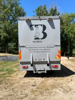 Zware paardenvrachtwagen (groot rijbewijs) Daf living 2008 Tweedehands