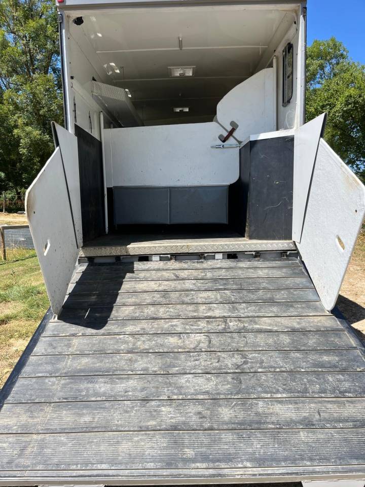Zware paardenvrachtwagen (groot rijbewijs) Daf living 2008 Tweedehands