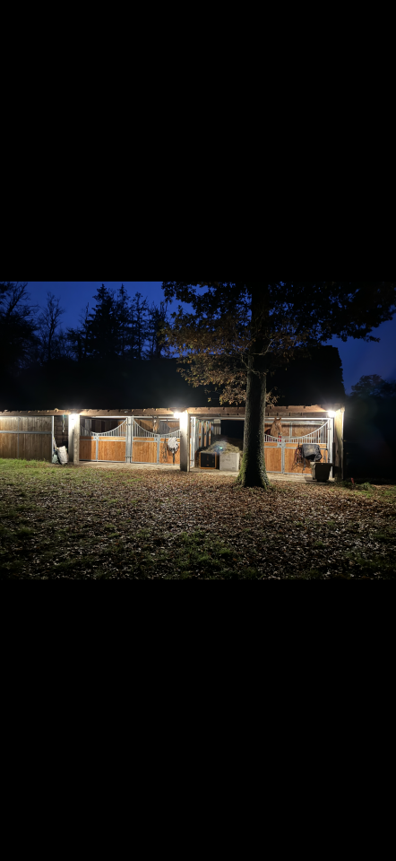 Mooi hippisch vastgoed Koop Loiret