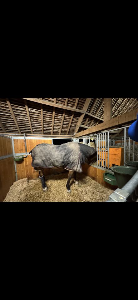 Mooi hippisch vastgoed Koop Loiret