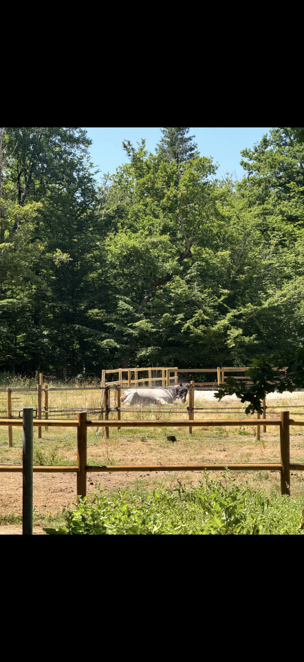 Mooi hippisch vastgoed Koop Loiret