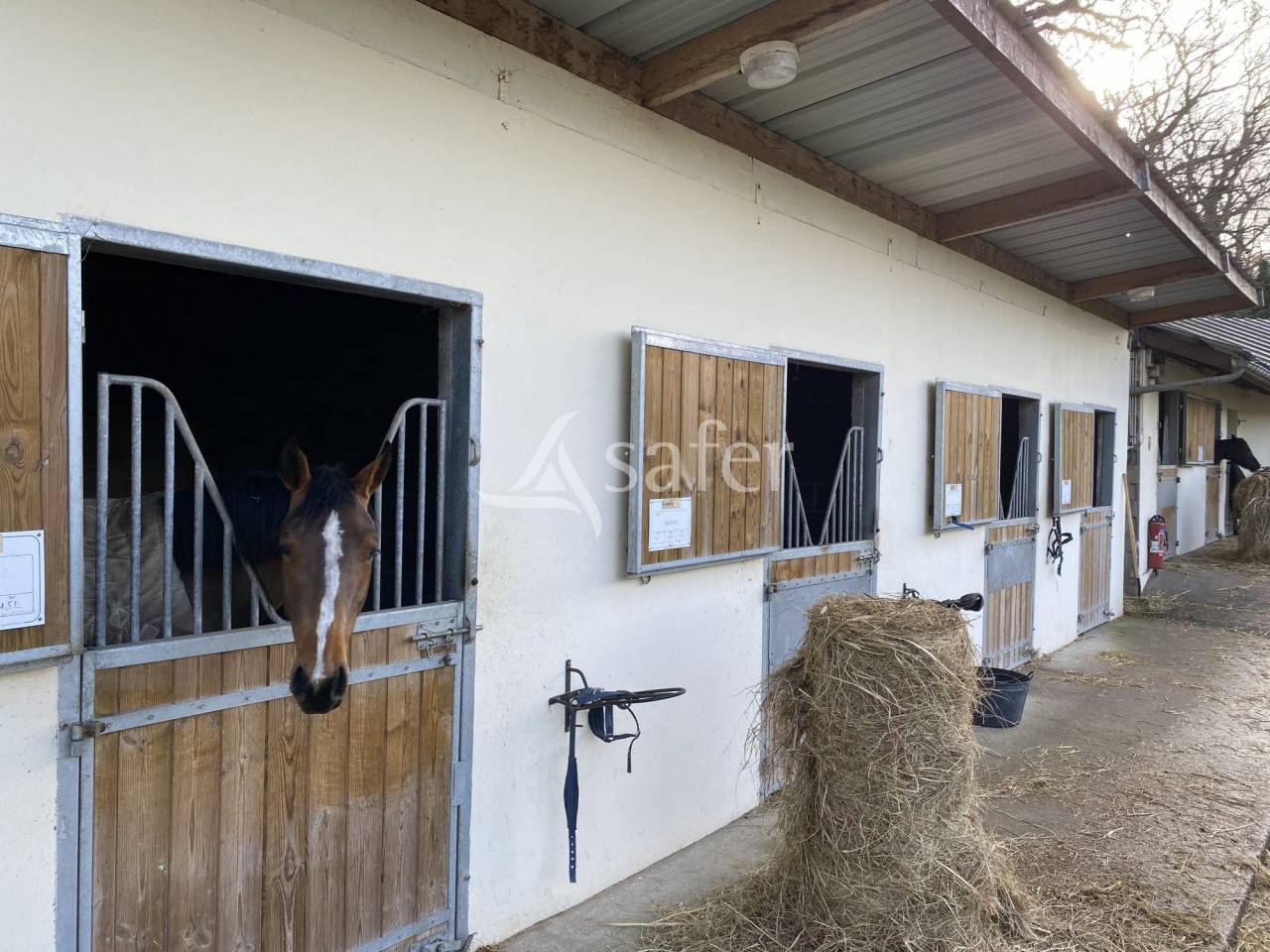 Hippisch vastgoed Koop Calvados