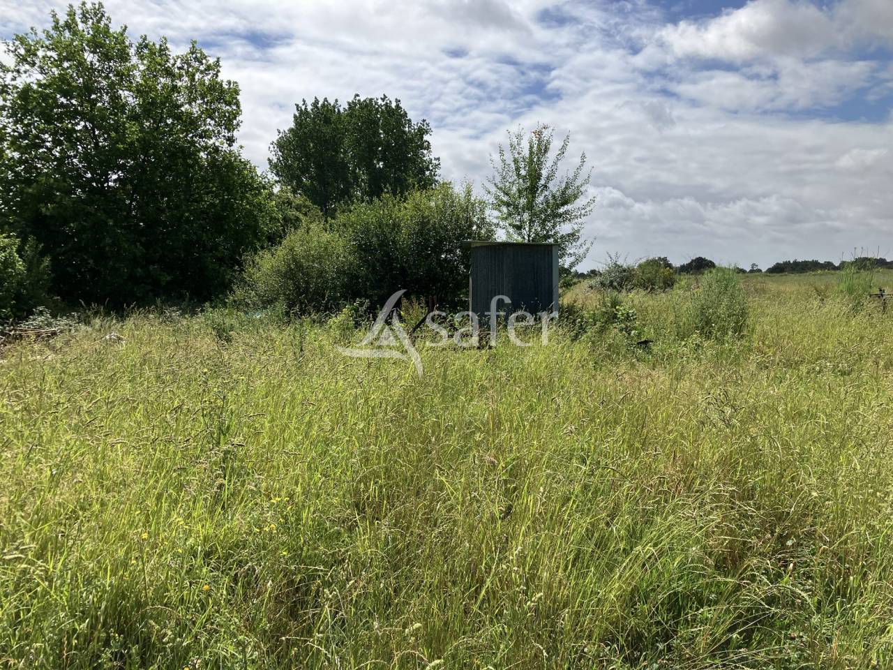 Bloemen en planten exploitatie Koop Vend&eacute;e