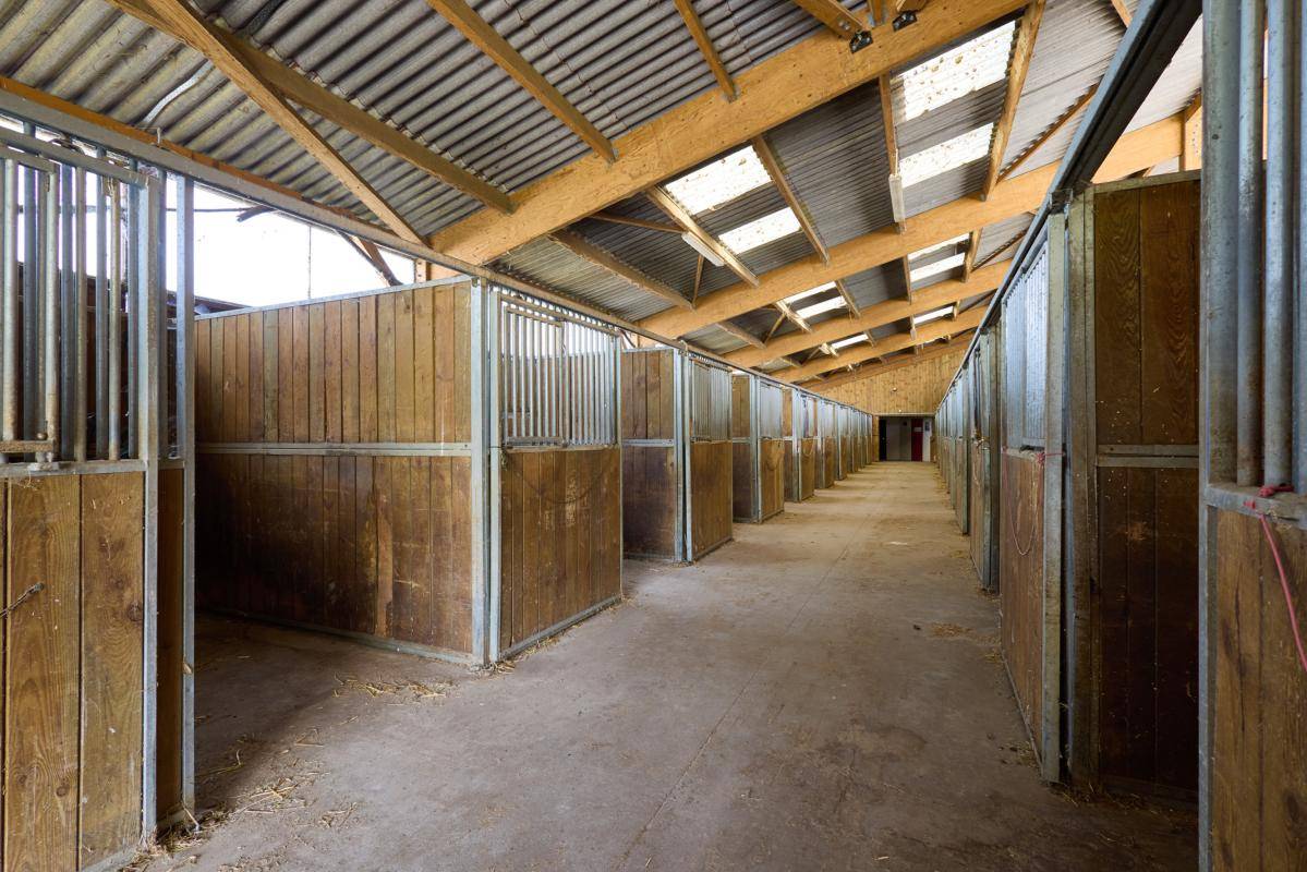 Hippisch vastgoed Koop Loiret