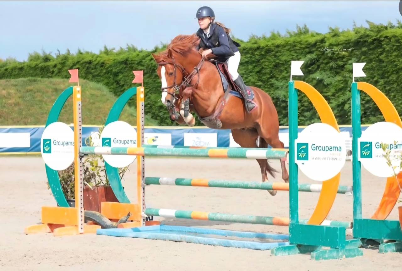 Ruin Franse rijpony PFS Te koop 2016 Vos ,  Champagne d'Ar Cus