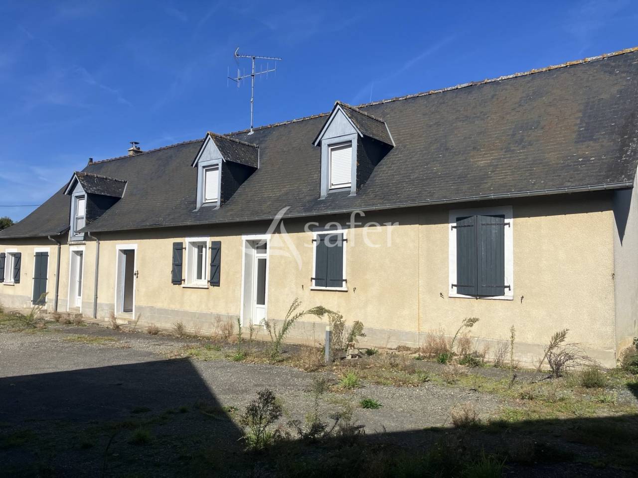 Kippen exploitatie Koop Mayenne