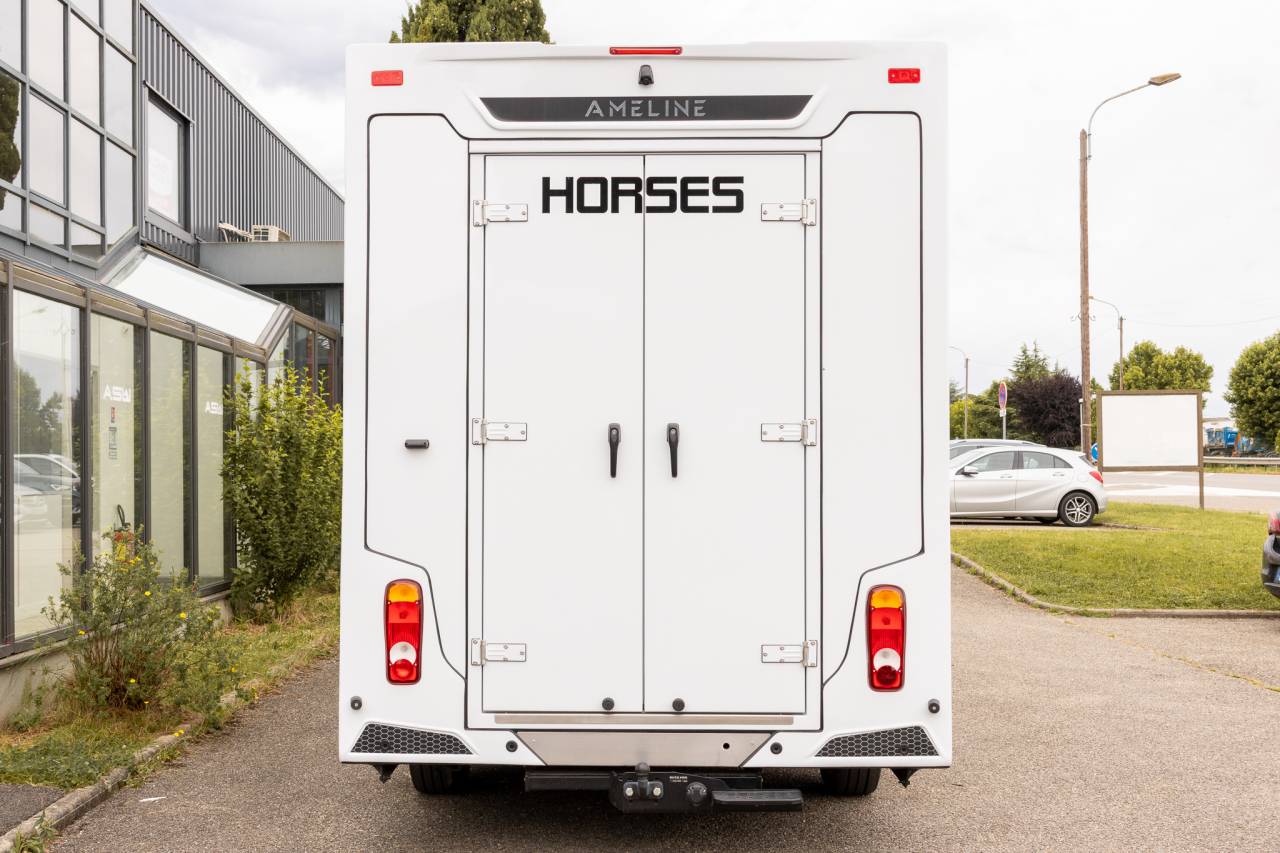 Kleine paardenvrachtwagen (B rijbewijs) Renault  2026 Nieuw
