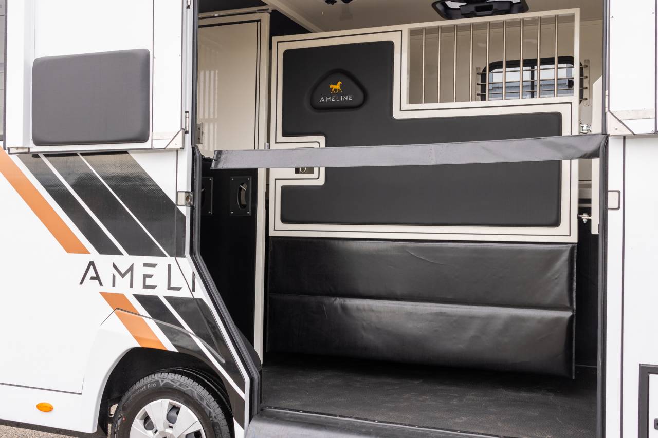 Kleine paardenvrachtwagen (B rijbewijs) Renault  2026 Nieuw