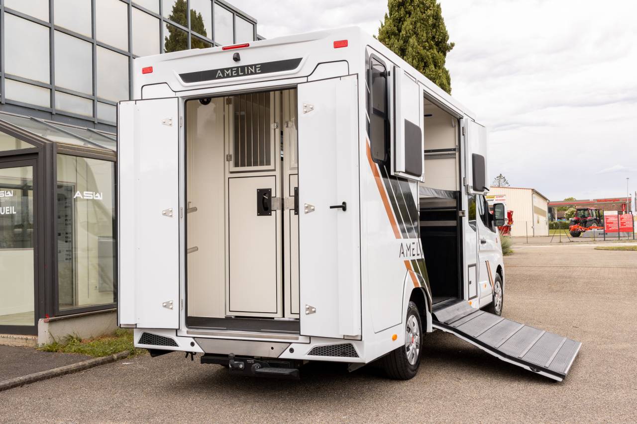 Kleine paardenvrachtwagen (B rijbewijs) Renault  2026 Nieuw