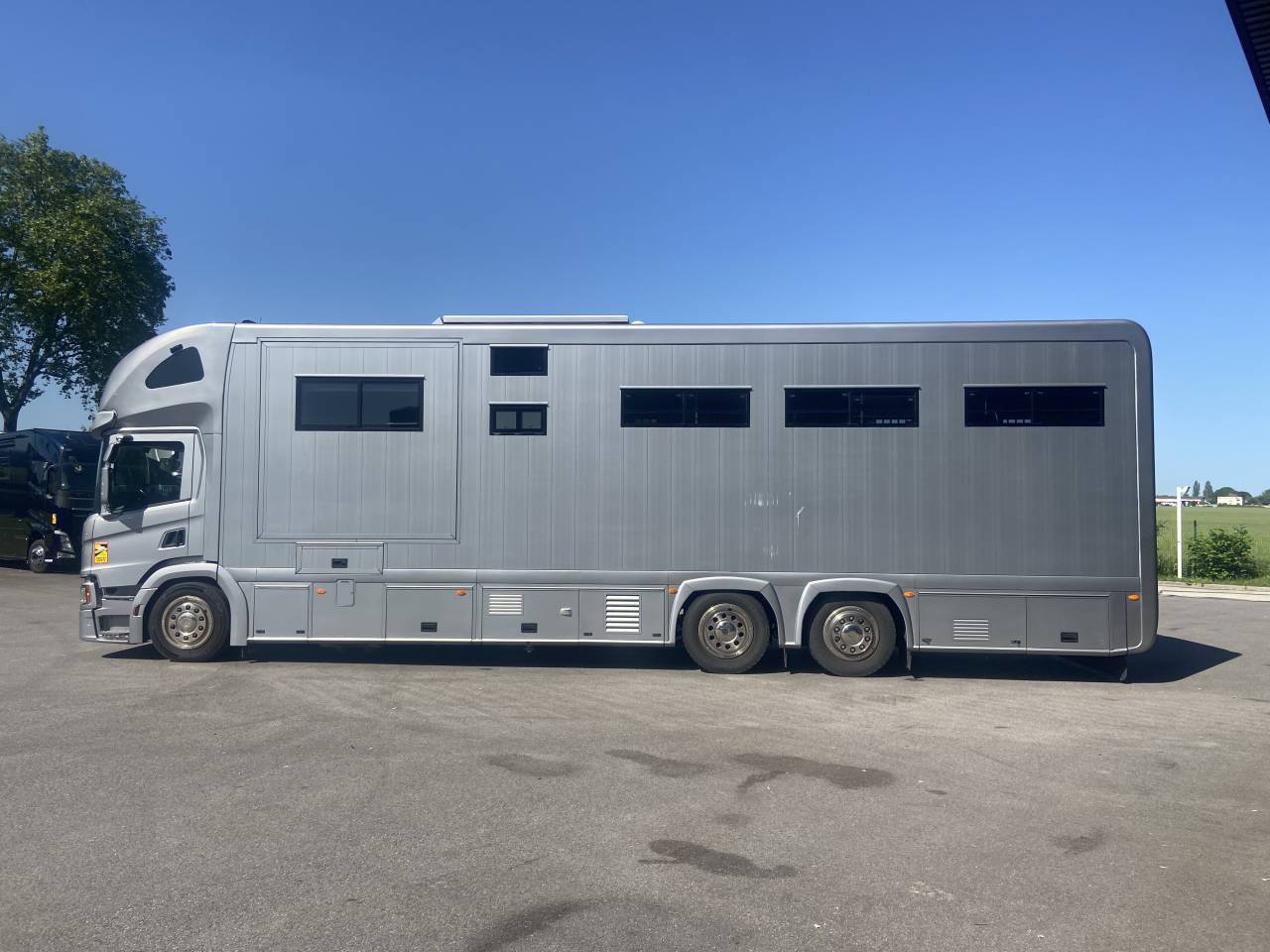Zware paardenvrachtwagen (groot rijbewijs) STX  2021 Tweedehands
