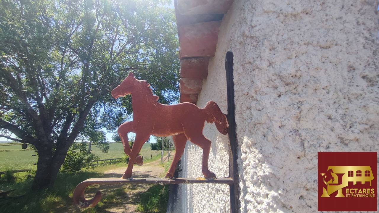 Hippisch vastgoed Koop Sa&ocirc;ne-et-Loire