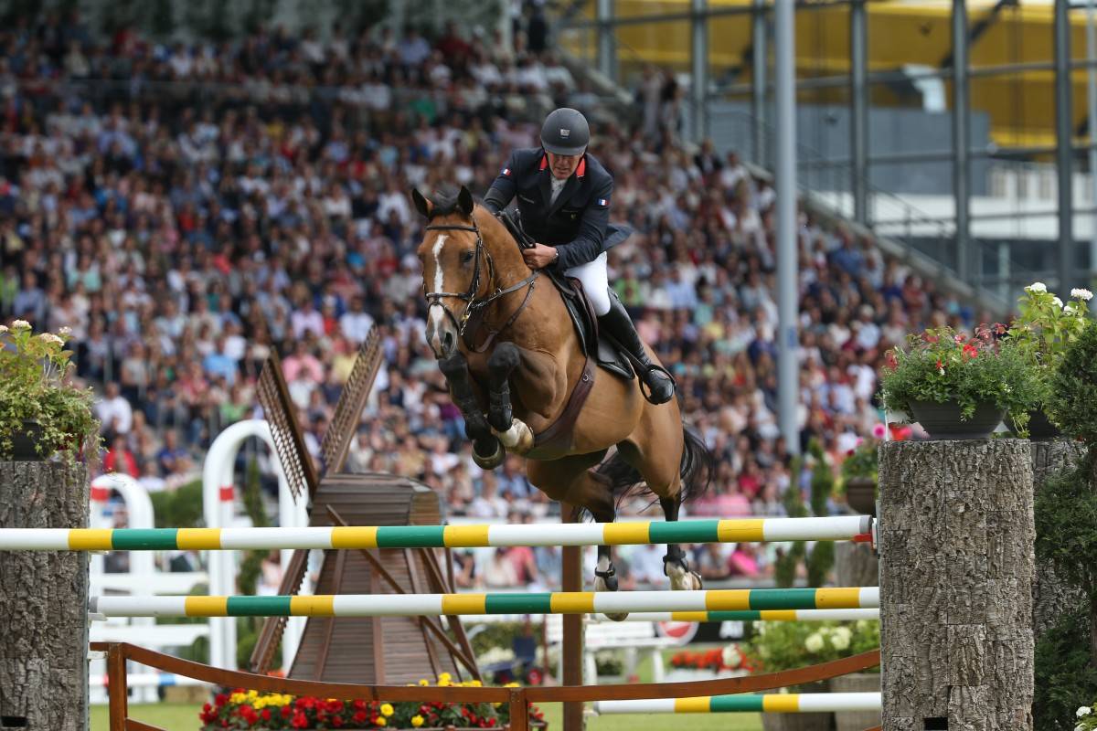Veulen (ml) Selle Fran&ccedil;ais Te koop 2026 Vos