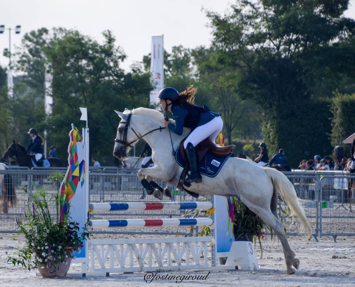 Merrie Connemara Te koop 2011 Schimmel ,  GARRYHINCH MILLRACE