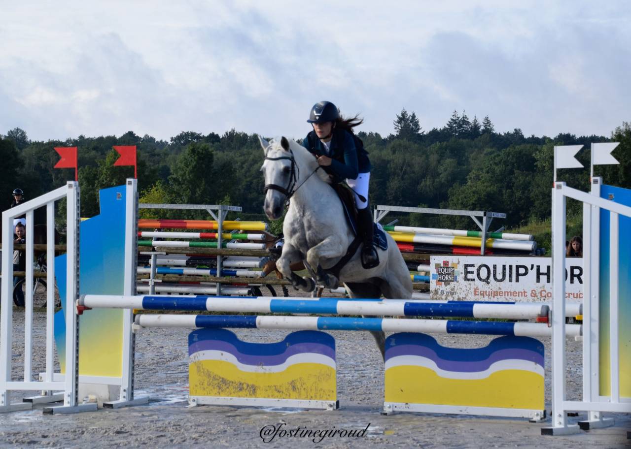 Merrie Connemara Te koop 2011 Schimmel ,  GARRYHINCH MILLRACE