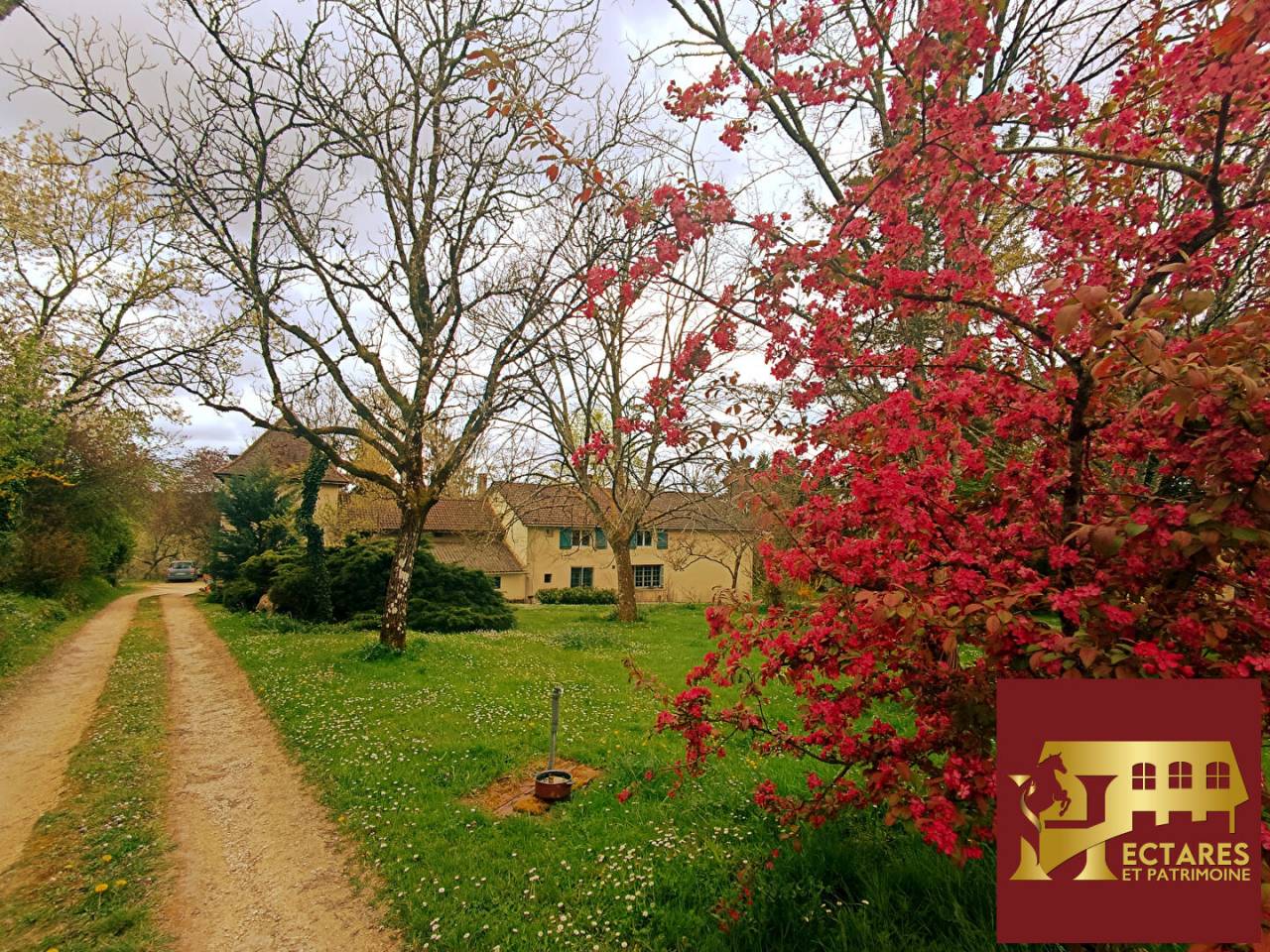 Paarden accommodatie Koop Dordogne