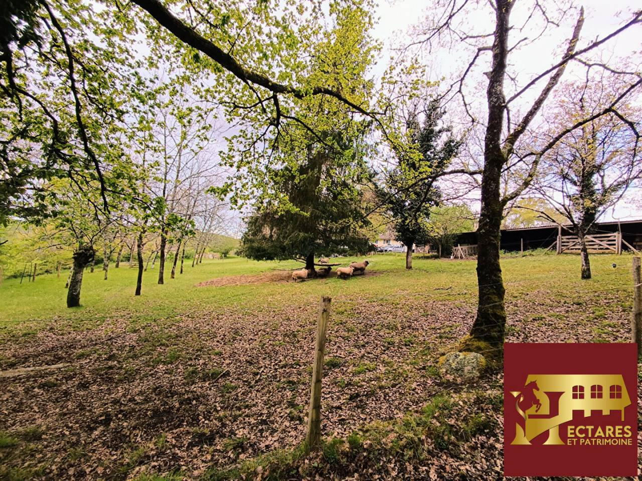 Paarden accommodatie Koop Dordogne